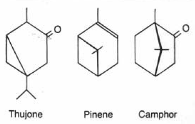 Chemical structures of selected terpenes. See text for details.